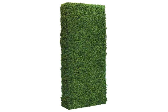 Rental store for Hedge Walling Boxwood 4 x 8 in Fresno CA
