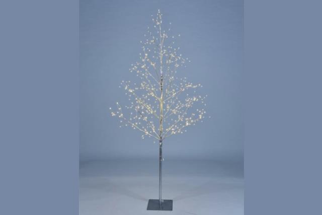 Where to find Decorative Trees in Fresno
